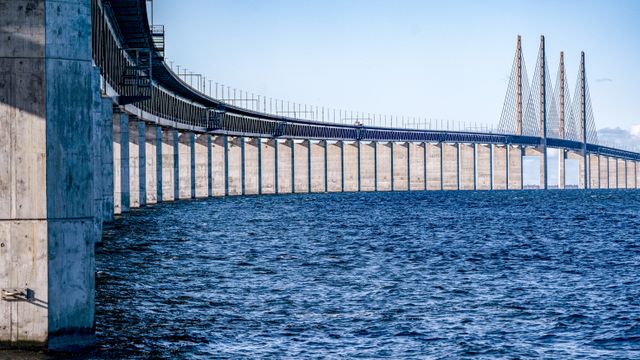 Både trafikk og fugleliv når nye høyder