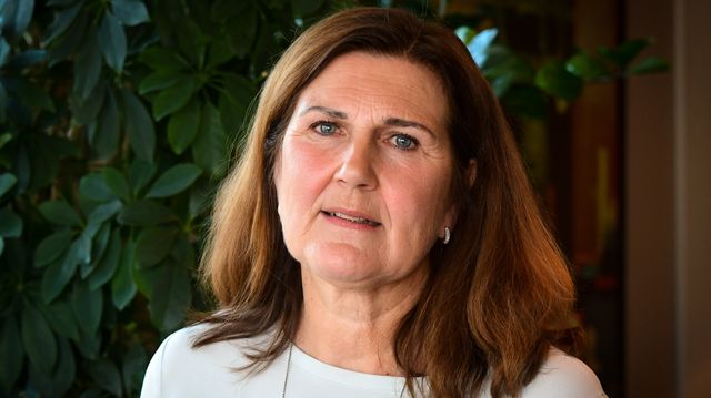 Disse sju har søkt på stillingen som vegdirektør