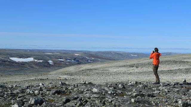 Disse vindkraftverkene sendes på høring i Finnmark