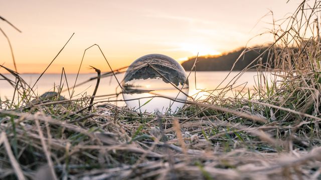 Kan du se inn i fremtiden? Prøv deg på TUs spåkule for 2025