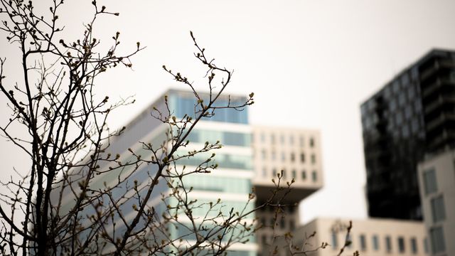 Se lista: Få konsulenthus er godkjent som bemanningsforetak