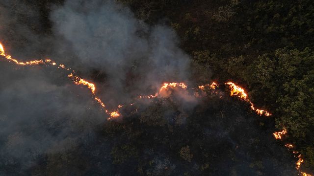 Fra flom til skogbranner – Brasil hardt rammet av klimaendringer