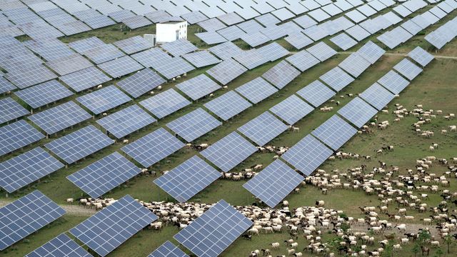 Bygger verdens største solpark – over dobbelt så stor som Oslo