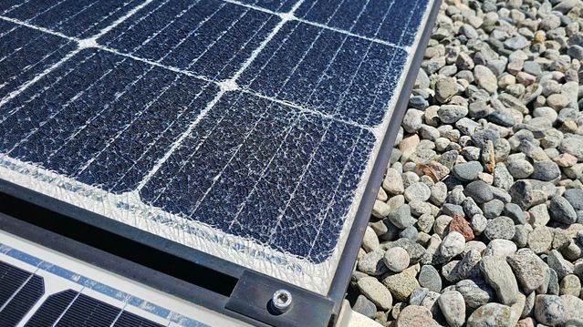 Fugl skaper trøbbel for solcelleanlegg i Oslo. Seks paneler knust på Jordal 