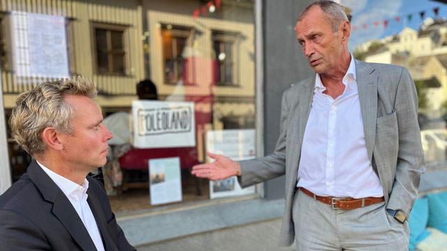 – Bare Norge eksponerer forbrukerne for timesprisen på strøm