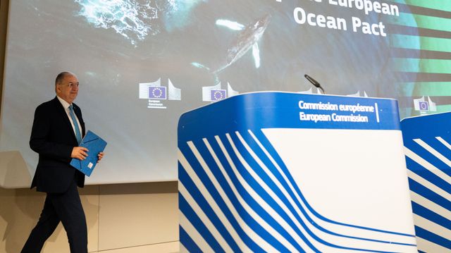 EU: Ingen gruvedrift på havbunnen før det er sikkert