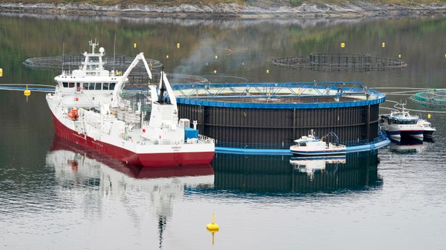 Bare investeringer i grønn teknologi vil fjerne miljøutfordringene i havbruk