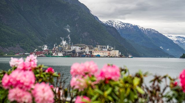 Sinkverket som nektet å dø