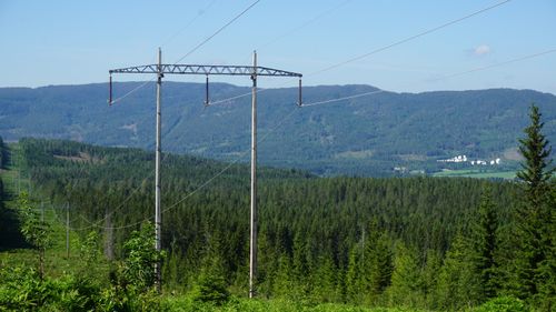 Illustrasjon av Forsker ber politikerne utvide norgespris til kommuner