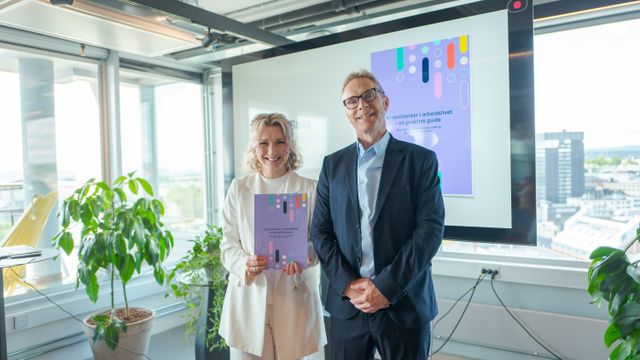 Regjeringens KI-veileder: Terningkast 5