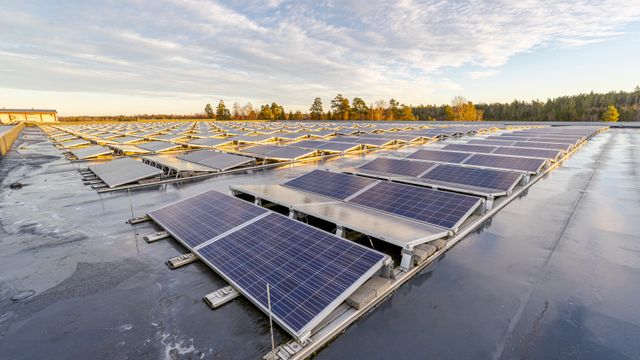 Rystad Energy: Folk har ikke tatt inn potensialet til solkraft