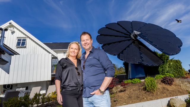 Punget ut 450.000 kroner for Norges eneste solcelleblomst: – Vil aldri lønne seg, men den er jo så kul