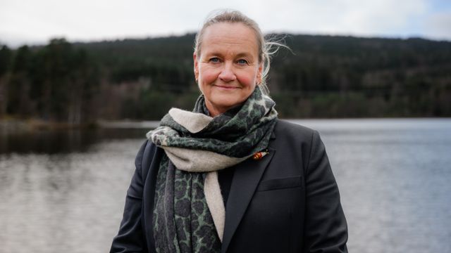 Elisabeth Vike Vardheim er ny konsernsjef i Statnett