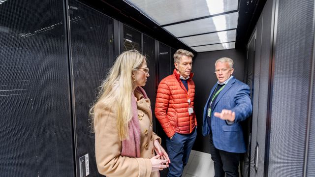 Tiktok-senter tror de kan fikse Nammos kattepine: – Det finnes alltid løsninger