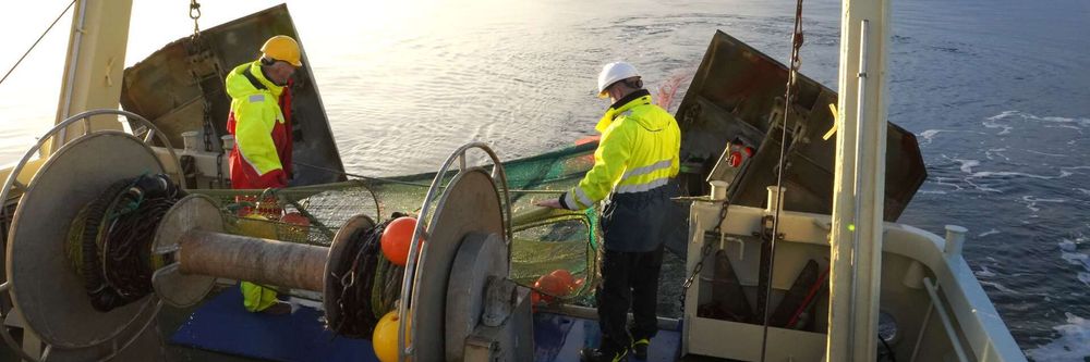 Illustrasjon av Oslofjorden fikk fred fra fiskerne – sånn går det nå