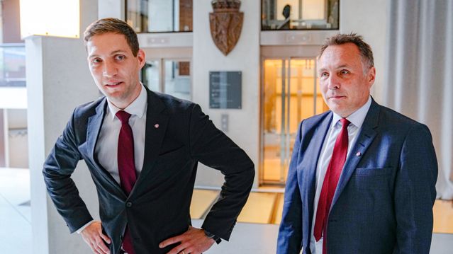 Dette lovet regjeringen i «Grønn bok» i 2025 – her er regnskapet