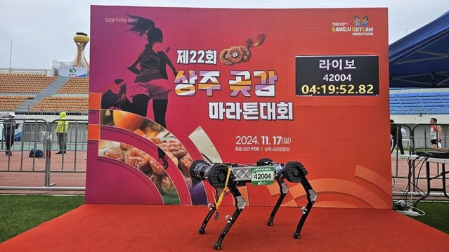 Robothund fullførte maraton – uten lading