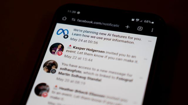 MDG vil gi millioner til Datatilsynet for å ta kampen mot Meta