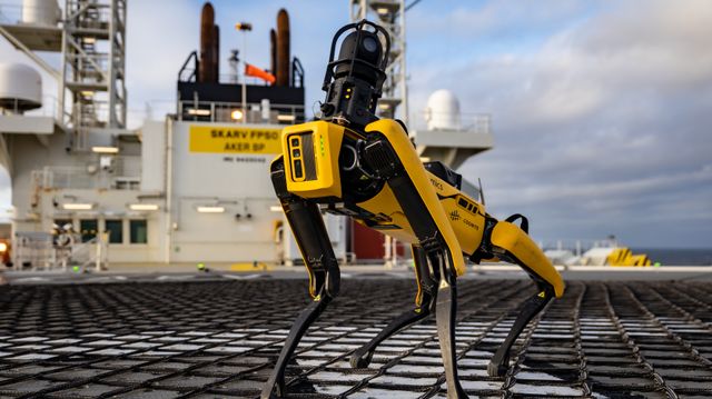 Pengene forsetter å renne ut av Cognite