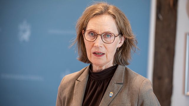 Milliarder fra forsvarsbudsjettet går til konsulenter