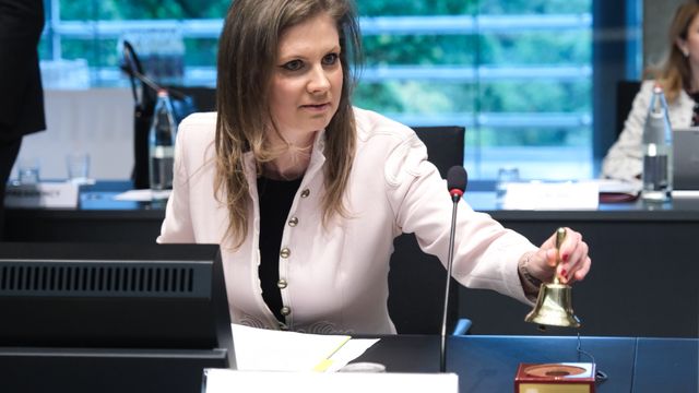 EUs mandat til COP29 dekker over uenighet om kjernekraft og 2040-målet