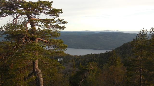 Her kommer Forsvarets nye radar på Østlandet
