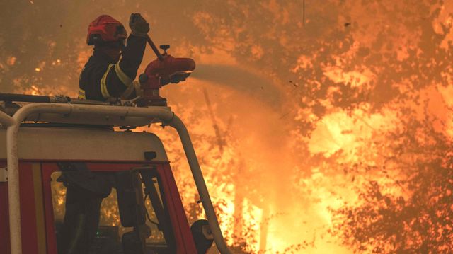 Eksperter frykter at også Norge kan oppleve større skogbranner