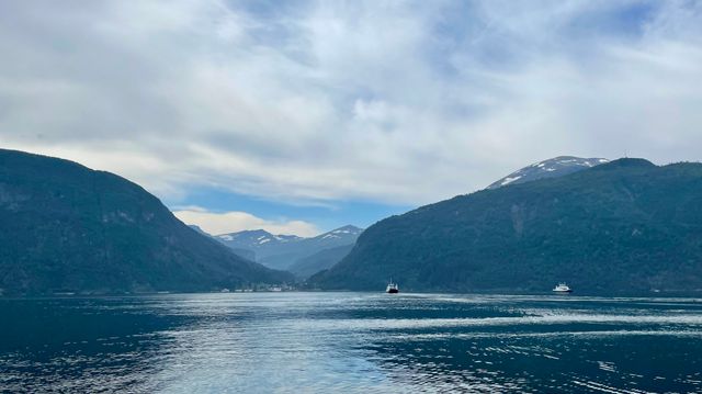 Klimaendringer og utslipp har gitt 15 prosent mindre oksygen i fjordene 