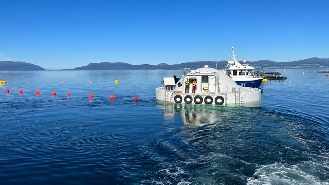 Oppdretterne som skal fornye havbruket, står i spagaten. Ingen viser vei ut