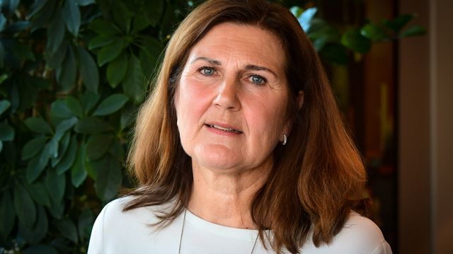 Dahl Hovland fortsetter som vegdirektør