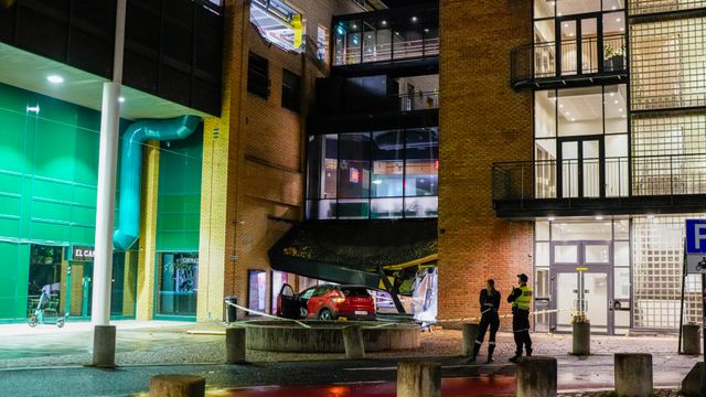 Flere har meldt om uønsket akselerasjon – men Vegvesenet har ikke funnet feil på noen av bilene