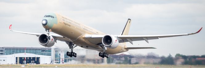 Illustrasjon av Kan fly så lenge i ett strekk at det er utstyrt med velværesone
