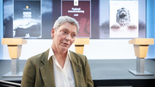 Illustrasjon av – Inntektene går trolig til å finansiere Nord-Koreas atomvåpenprogram