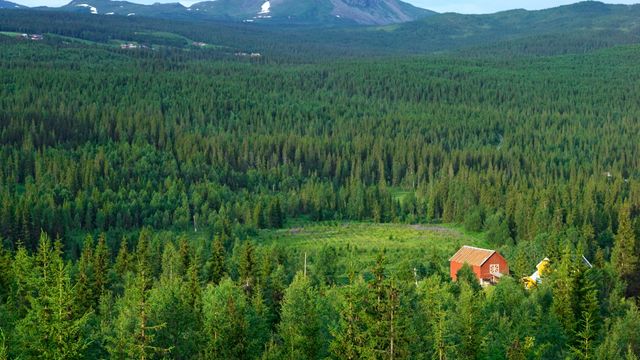 Jord i nord er verdens beste CO2-lager