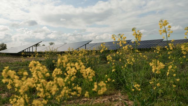 Equinor starter produksjon fra sin tredje solpark i Polen