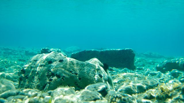 Omstridt mineralselskap fridde til Trump – risikerer å miste lisenser