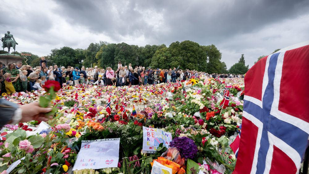 Illustrasjon av Blant de største politioperasjonene noensinne