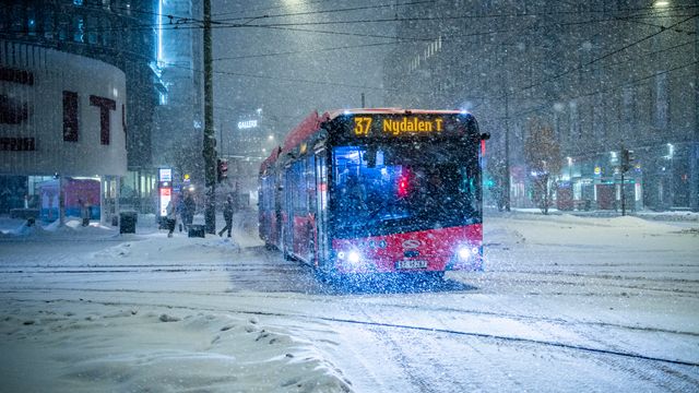 Skulle bidra til å hindre ny kaosvinter – kun 15 av 183 busser har fått løsningen