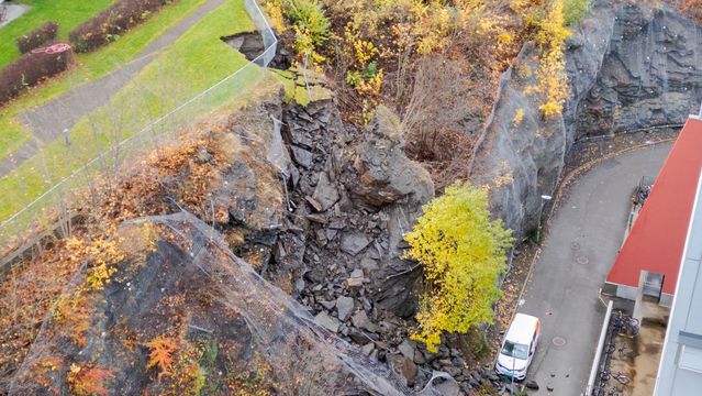 Skjæringen får ny hud med dype røtter