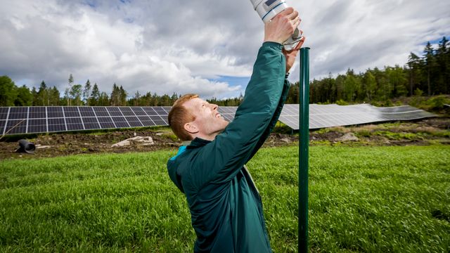 Vil unngå nytt vindkraft-bråk: Erlend (28) forsker på hvordan solparker påvirker norsk natur