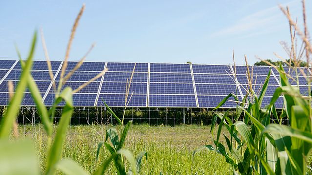 USA kutter milliardstøtte til solenergi