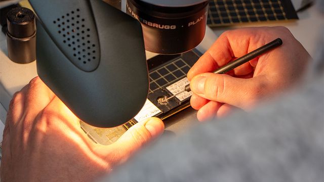 Slik kan KI finne mikroskopiske fossiler