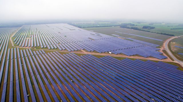 Kannibaler, marginaler og andre kabaler