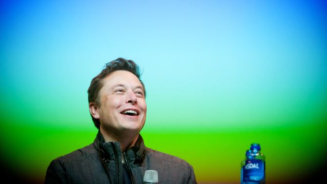 Storeslem for Elon Musk