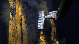 Illustrasjon av WWF får Brussel-støtte i sak om gruvedrift på havbunnen