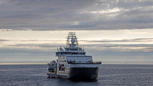 Regner med å finne hundrevis av nye arter på havdypet