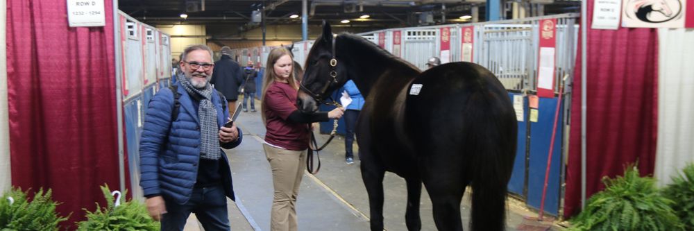 Illustrasjon av IT-konsulent konkurs. Investerte i travhester med selskapets penger