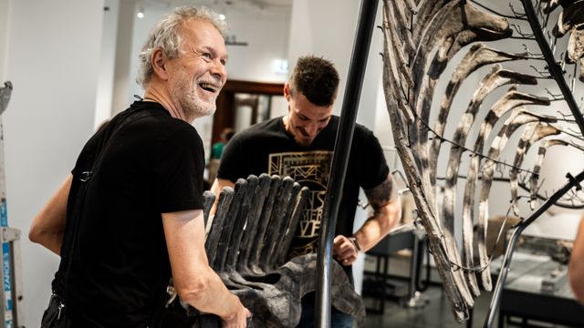 Her monteres Norges første dinosaurskjelett: – Som lego for voksne