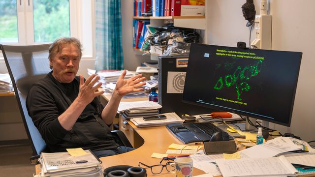 Han forsker på søppelrydderne som kreftcellene vil kidnappe