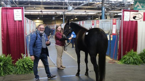 Illustrasjon av – Det var ikke så mye mer vi kunne gjøre